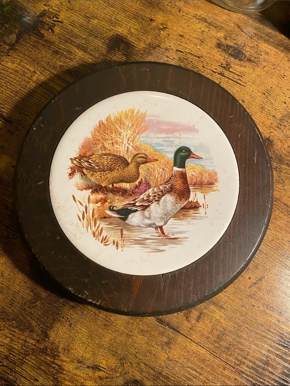 Madison Mallard Duck Plaque in Brown and Green